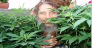 El cannabis y sus efectos en los ojos